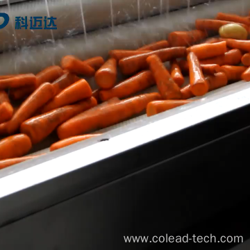 Ginger peeling and polishing machine for factory